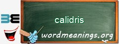 WordMeaning blackboard for calidris